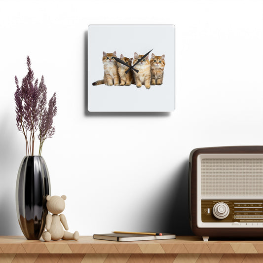 Acrylic Wall Clock for Cat Lovers - 10.75'' Round and Square Sizes